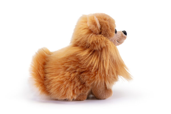 volpino pomerania piccolo peluche marrone